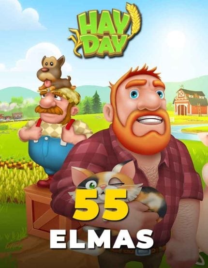 Hay Day 55 Elmas