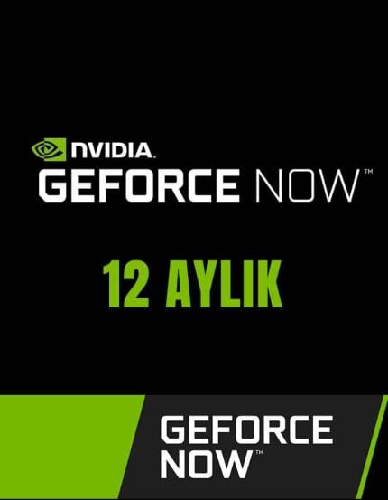 GeForce Now Game Plus Performance 12 Aylık