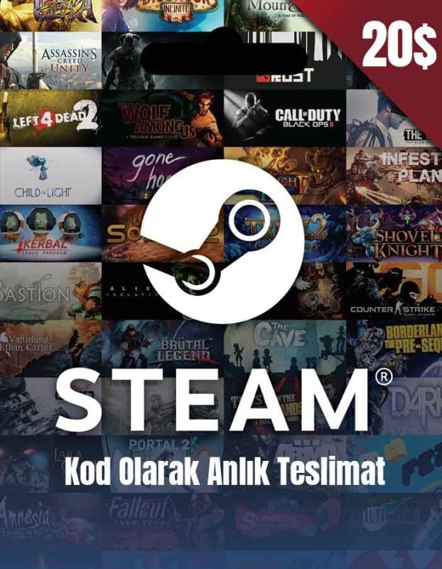 steam20us